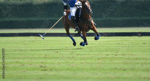 Polo Horse Player Riding To Control The Ball, Horse full speed in Polo match.