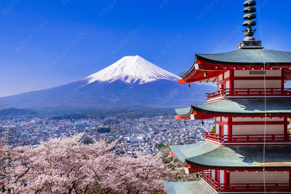 新倉山浅間公園 満開の桜と富士山