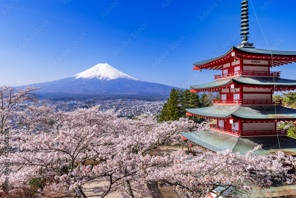 新倉山浅間公園 満開の桜と富士山