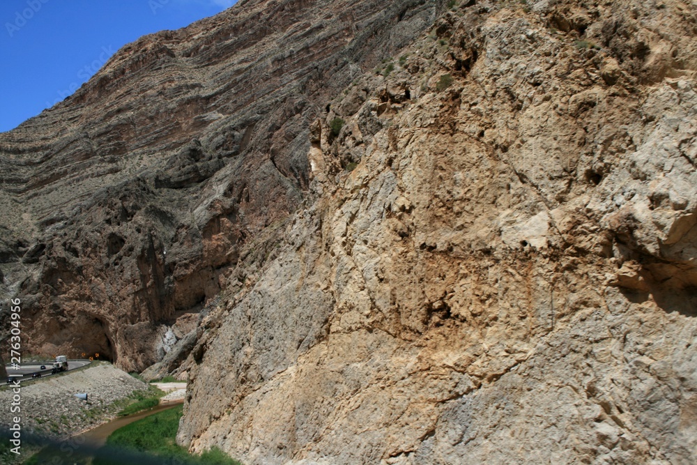 USA. Grey mountains Nevada  and desert plant