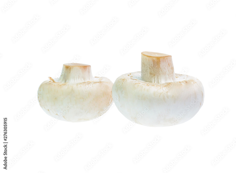 Mushroom champignon isolated on white background Mushroom champignon isolated on white background