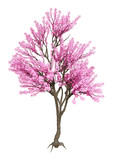 3D Rendering Pink Blooming Sakura Tree on White