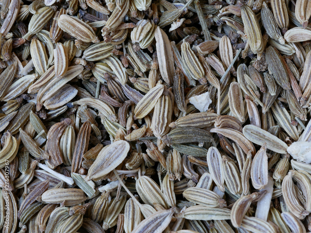 Close-up of Seeds of Fennel, Foeniculum vulgare, Food Background