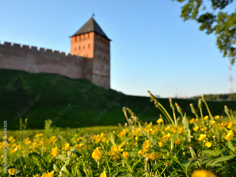 Veliky Novgorod. Kremlin. Palace tower. Yellow flowers in a green field against the background of the Kremlin tower. Summer view.