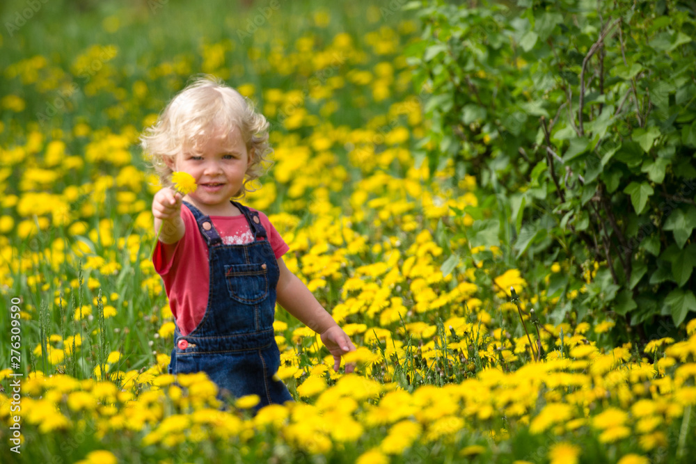 girl walking in a clearing among the flowers girl walking in a clearing among the flowers