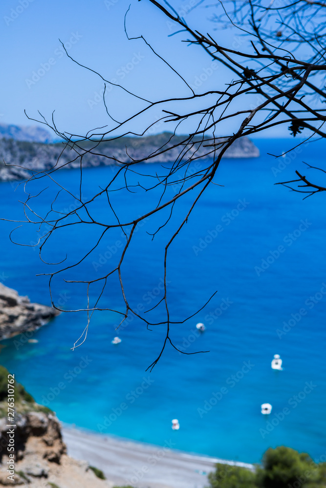 Coll Baix beach in Alcudia bay in Mallorca Balearic islands of Spain. Tropical paradise beach.Summer vacation travel holiday background concept Coll Baix beach in Alcudia bay in Mallorca Balearic islands of Spain. Tropical paradise beach.Summer vacation travel holiday background concept