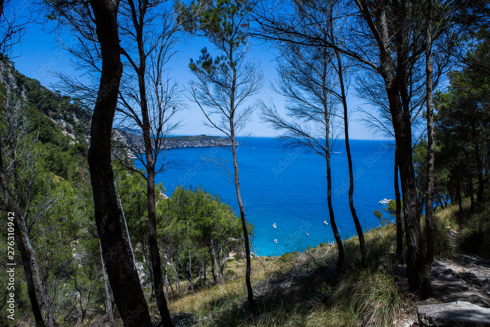 Coll Baix beach in Alcudia bay in Mallorca Balearic islands of Spain. Tropical paradise beach.Summer vacation travel holiday background concept Coll Baix beach in Alcudia bay in Mallorca Balearic islands of Spain. Tropical paradise beach.Summer vacation travel holiday background concept