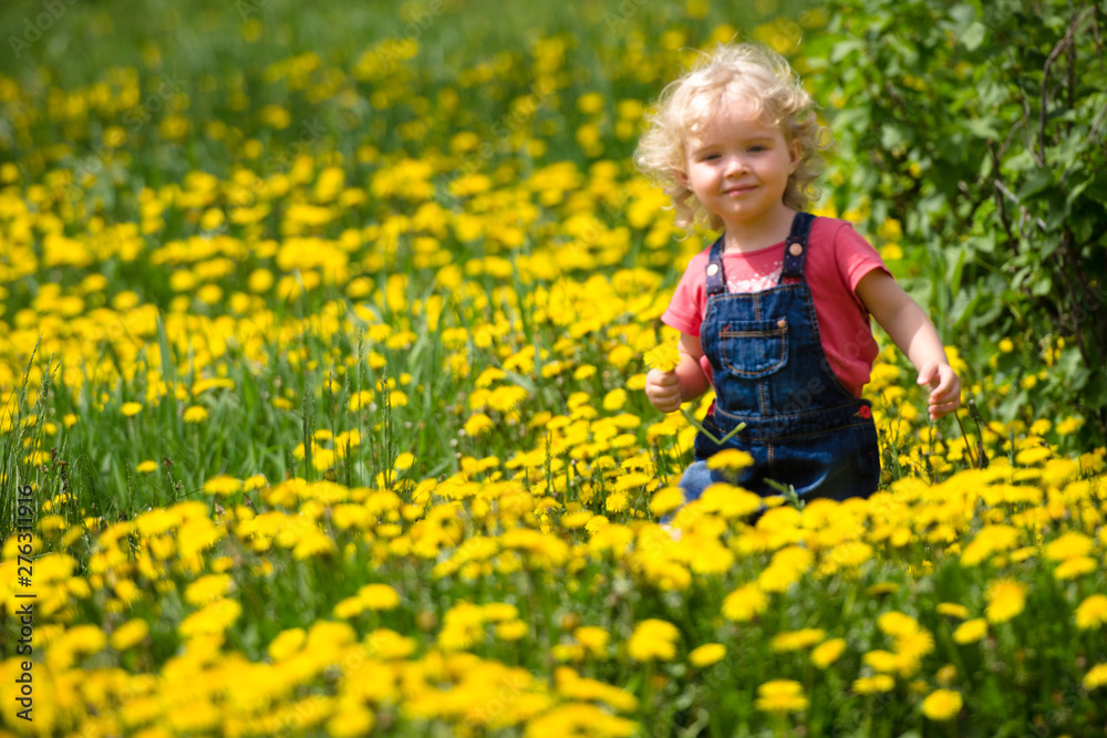 girl walking in a clearing among the flowers girl walking in a clearing among the flowers
