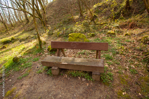 wooden bench in a public park in spring at sunset