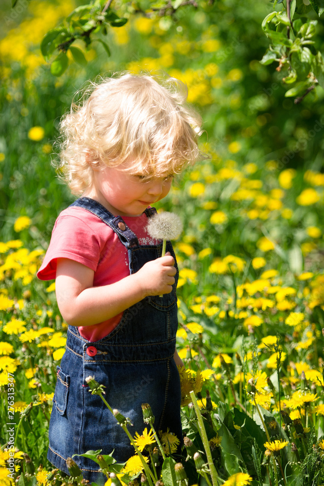 girl walking in a clearing among the flowers girl walking in a clearing among the flowers