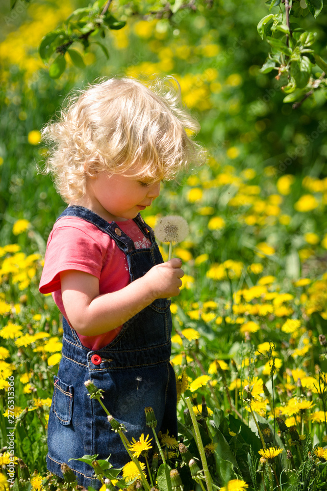 girl walking in a clearing among the flowers girl walking in a clearing among the flowers