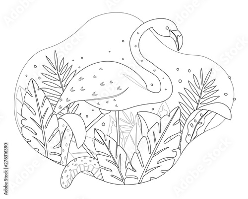 Hand drawn vector illustration of a cute flamingo bird, tropical leaves. Exotical plants. Sketch style. Line art. Isolated on white background. Coloring book.