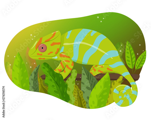 Hand drawn vector illustration of a cute cartoon chameleon sitting on branch. Exotical plants. Isolated on white background. Poster or t-shirt design.