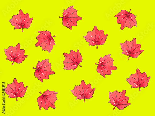 maple leaf watercolor background maple leaf autumn pattern © Daria Upenek