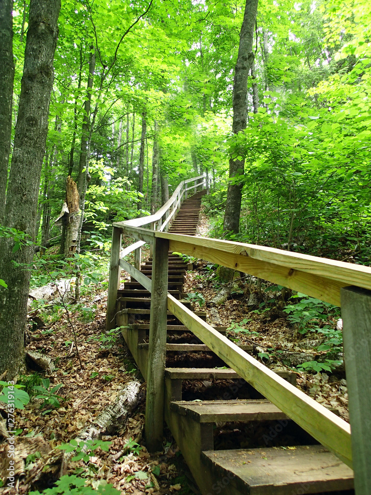 Wooden stairway on a forest hill side Wooden stairway on a forest hill side