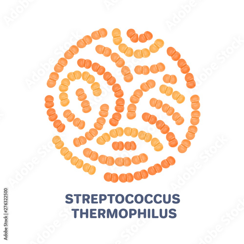 Vector probiotics in circular shape. Streptococcus thermophilus. Microbiome. Medicine or dietary supplement. Brochure, flyer, label, cover, poster, banner, package, advertising, presentation. Eps10
