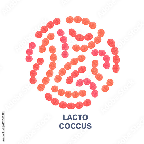 Vector probiotics in circular shape. Lactococcus. Microbiome. Medicine or dietary supplement. Brochure, flyer, label, cover, poster, banner, package, advertising, presentation. Red colors. Eps10 photo