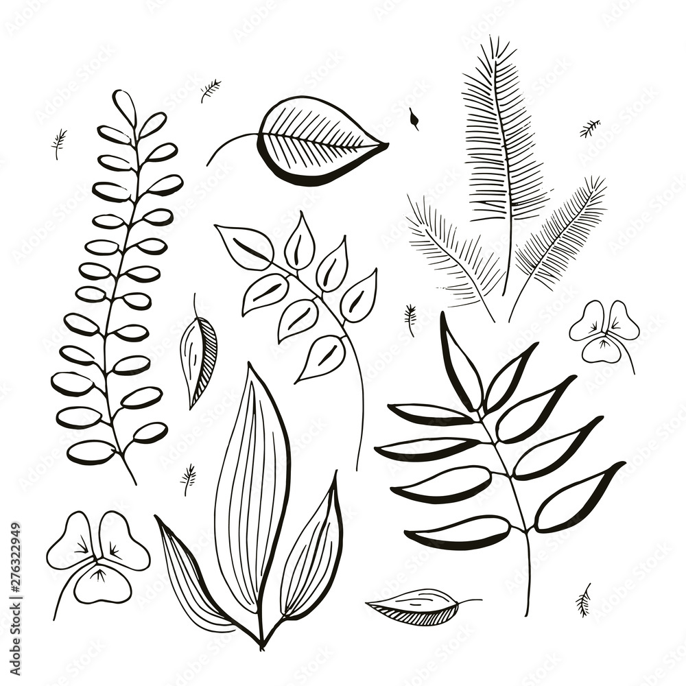 Hand drawn vector botanical branches, twigs and leaves. Set of simple floral design elements. Isolated on white. Hand drawn vector botanical branches, twigs and leaves. Set of simple floral design elements. Isolated on white.