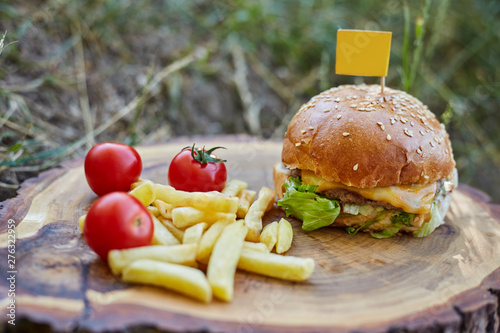 Home made hamburger with beef, onion, tomato, lettuce and cheese. Fresh burger closeup on wooden rustic table with potato fries and chips. photo