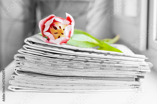 Stack of Newspapers and Tulip. Journals and Magazines stacked in Pile and Spring Flower. Concept for Bright and Happy News   