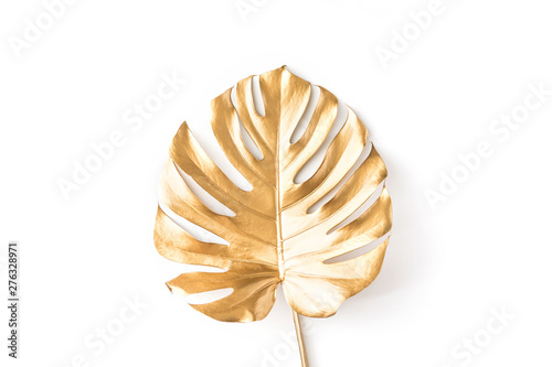 Top view of gold tropical palm Monstera leaf isolated on white background. Fl...