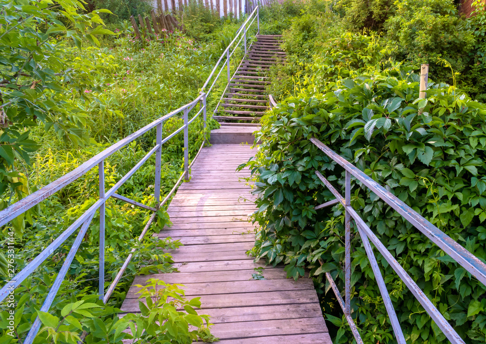 Old wooden bridge among bushes with green leaves, summer landscape Old wooden bridge among bushes with green leaves, summer landscape