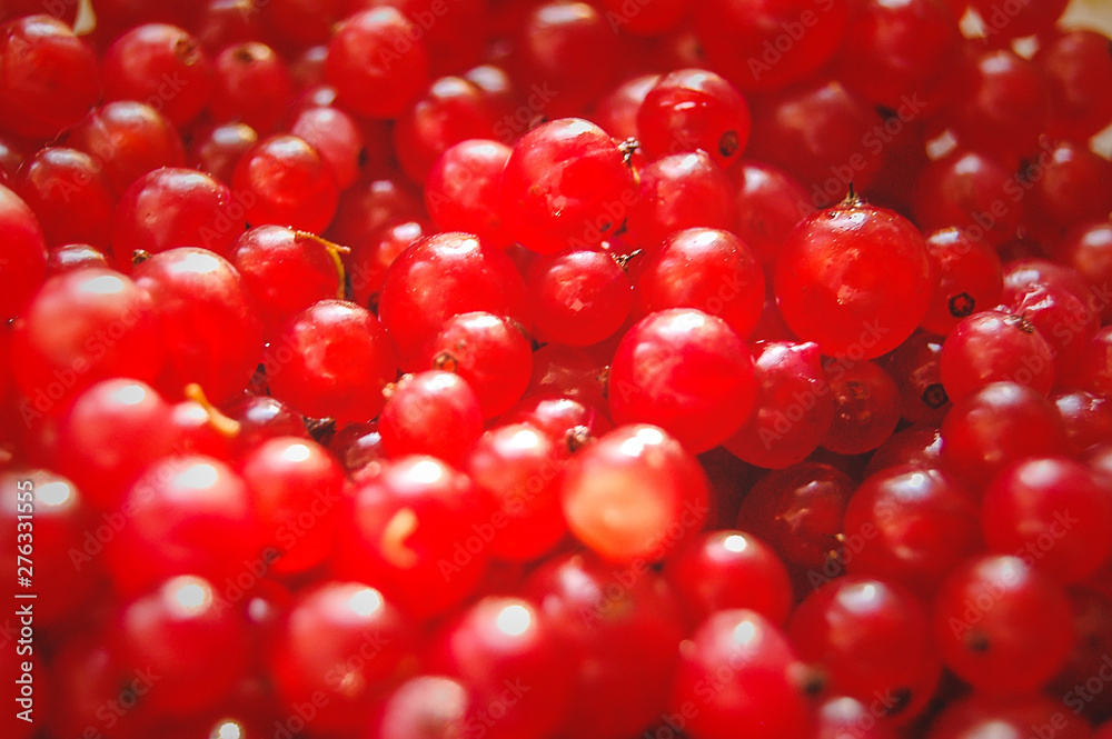 Macro photo of red currant berries background. Macro photo of red currant berries background.