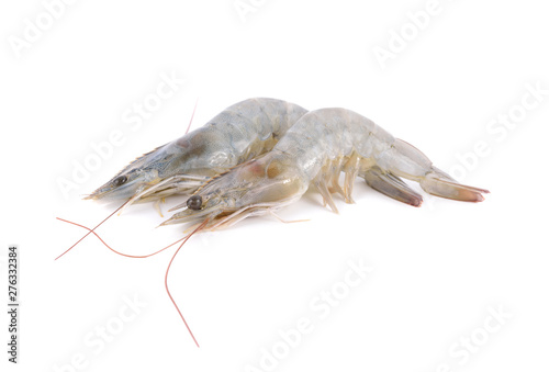 whole round fresh vennamei shrimps on white background © yodaswaj