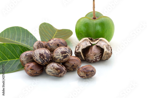 Rubber seeds (Hevea brasiliensis) and rubber leaves isolated on white background.