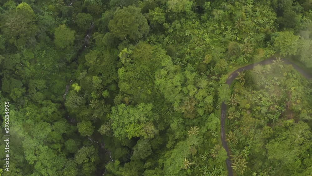 Aerial top view of a green forest and narrow river. Beautiful landscape Aerial top view of a green forest and narrow river. Beautiful landscape