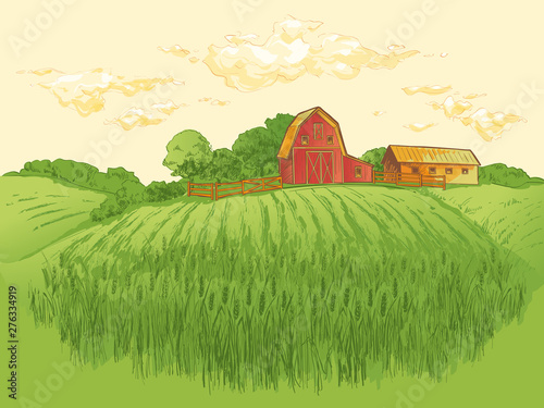 Rural landscape field wheat. Hand drawn vector Countryside landscape engraving style illustration.