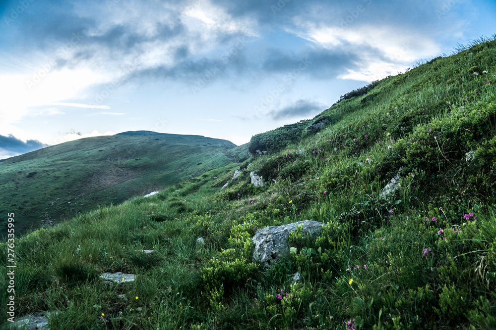 Evening in the Carpathians on the Chornohora ridge Evening in the Carpathians on the Chornohora ridge
