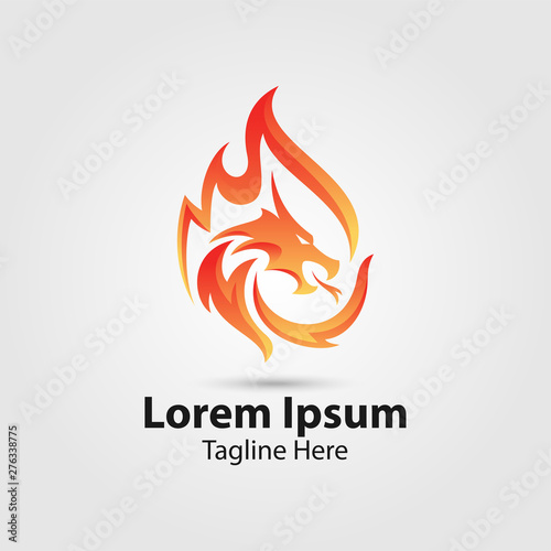 dragon fire vector logo.