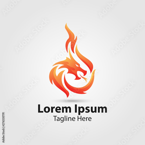 dragon fire vector logo.