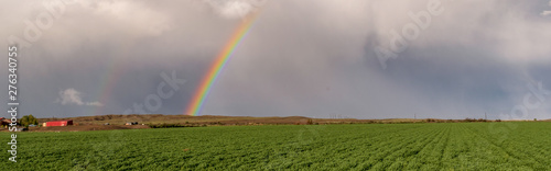 Rainbow Over a Field