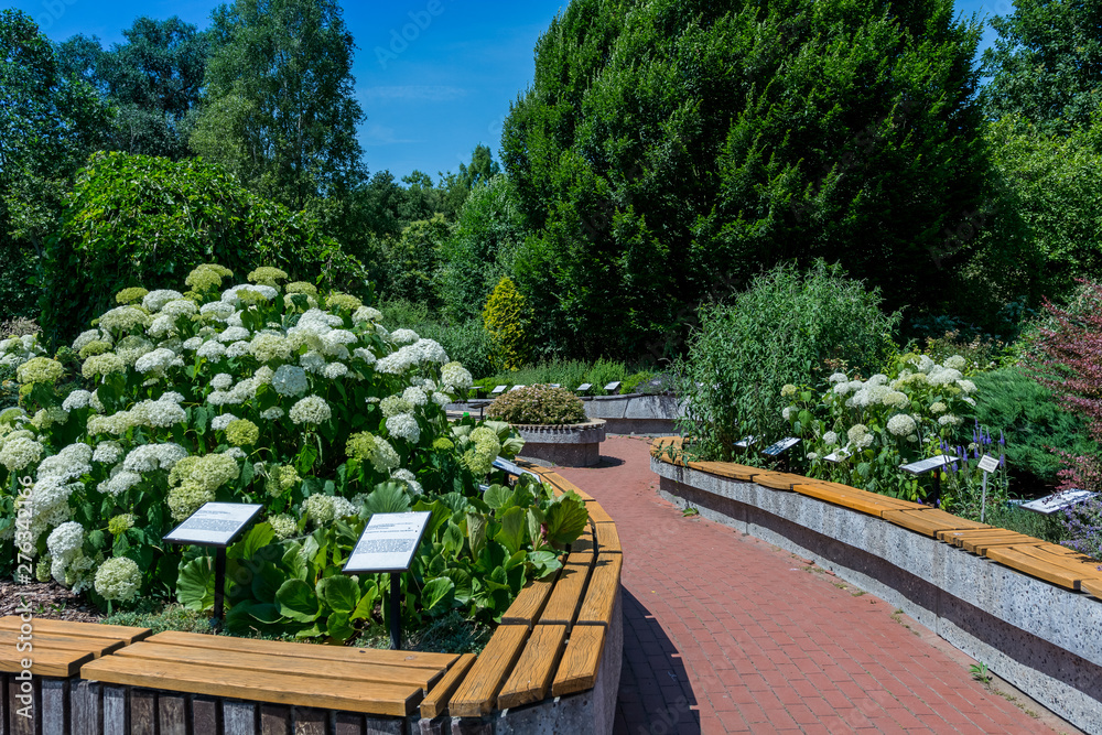 Fototapeta premium Arboretum w Bolestraszycach