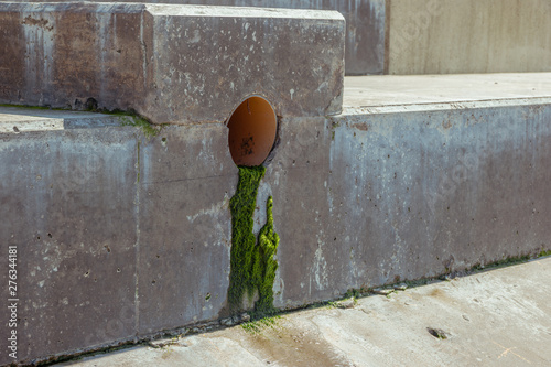 Green algae from a weep hole or pipe for drainage in the new concrete revetment sea wall, coastal flood defences, in Lancashire photo