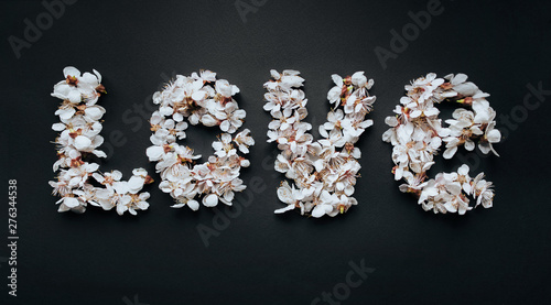 Fine inscription LOVE is lined with apricot petals on a black background. Composition, love and concept. Spring mood, flowering plants, copy space. A beautiful word from a loved one.
