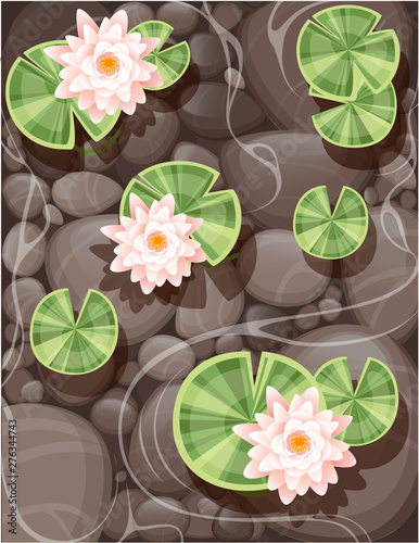 Beautiful lily lotus with green leaves on transparent water and stone bottom flat vector illustration