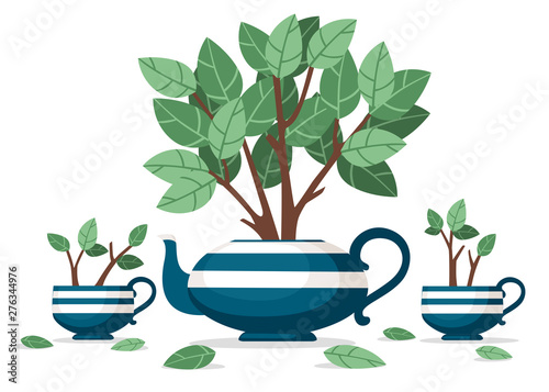 Blue ceramic teapot and two cup with tea bush growing out of it flat vector illustration on white background