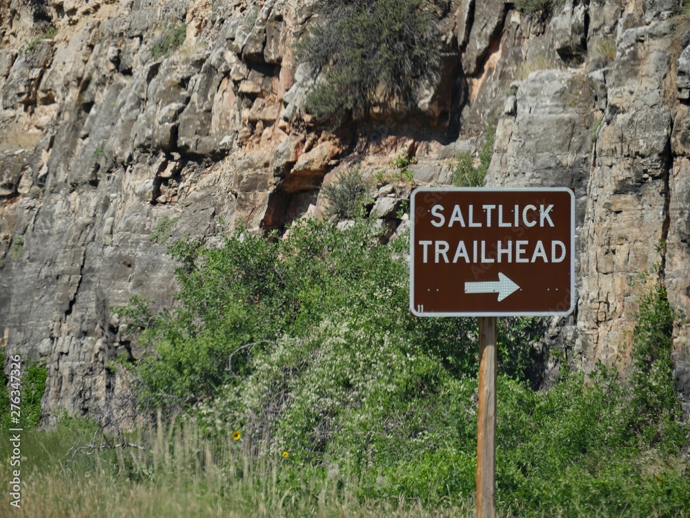 Roadside directional sign with arrow pointing to the direction of Saltlick Trailhead in Wyoming. Roadside directional sign with arrow pointing to the direction of Saltlick Trailhead in Wyoming.