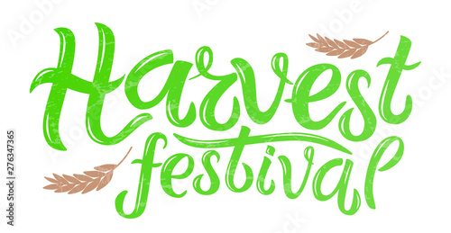 Vector illustration of Harvest festival text decorated with ears of wheat. Hand drawn lettering for harvest festival. Isolated autumn card, poster or banner template with calligraphic text.