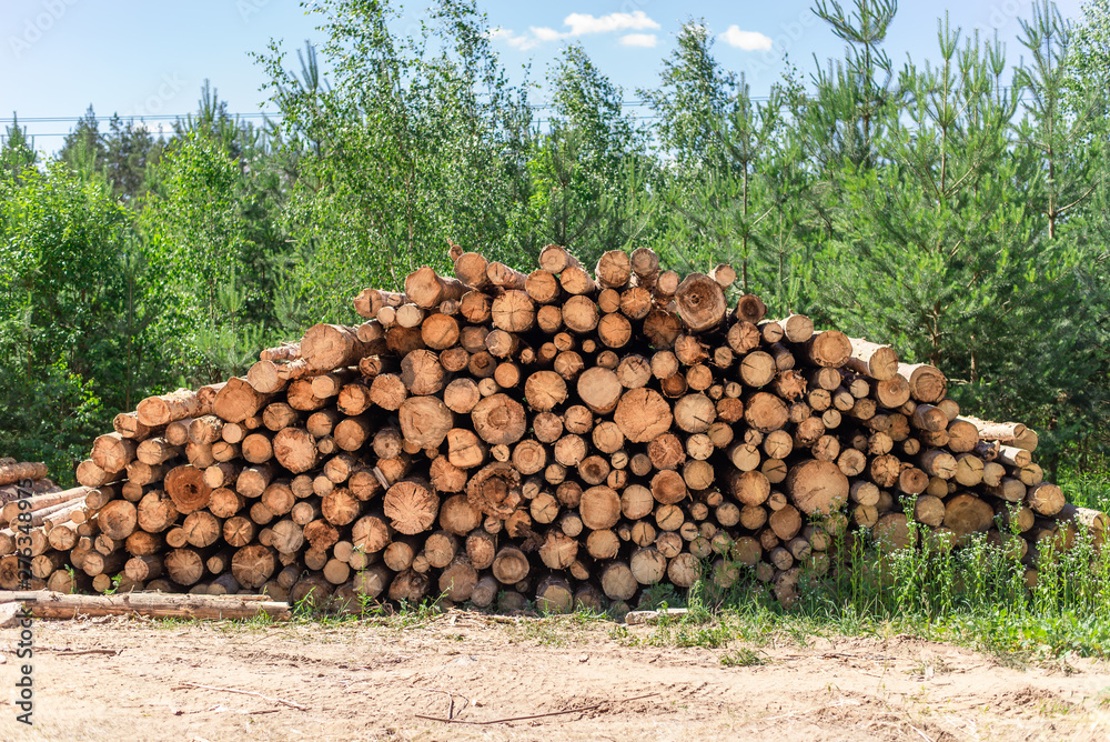 deforestation, stacked logs 