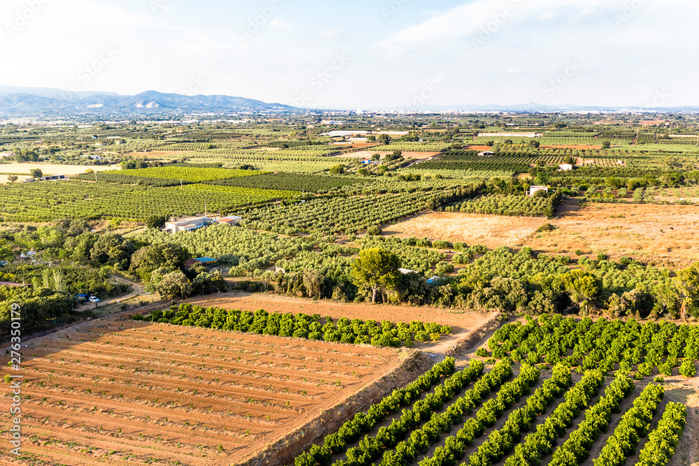 aerial view of farm fields in Tarragona
