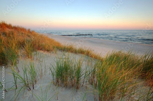 Wydmy piaskowe na wybrzeżu Morza Bałtyckiego.