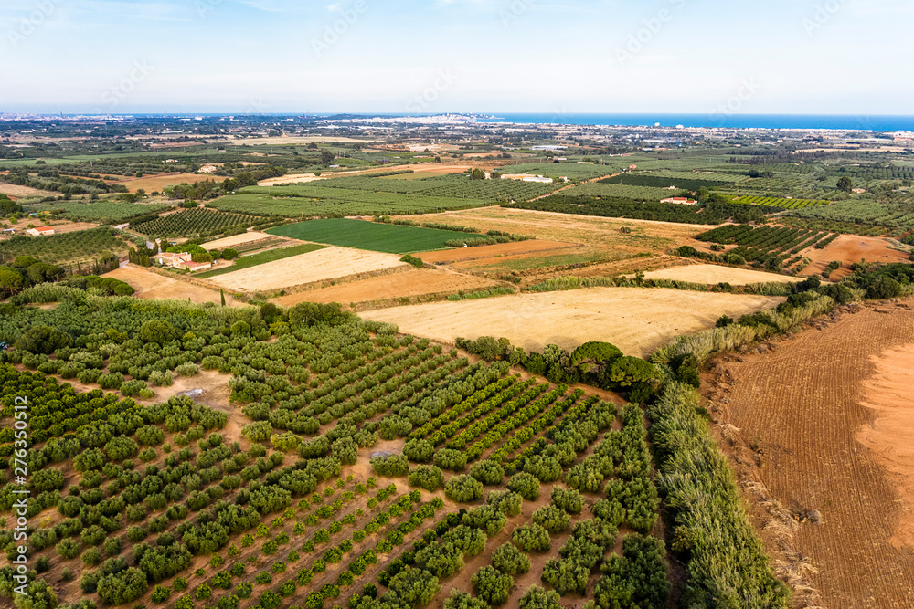 aerial view of farm fields near of the sea