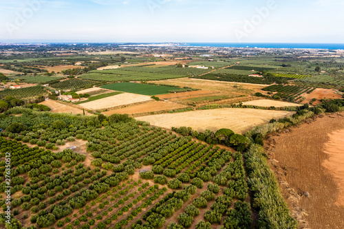 aerial view of farm fields near of the sea