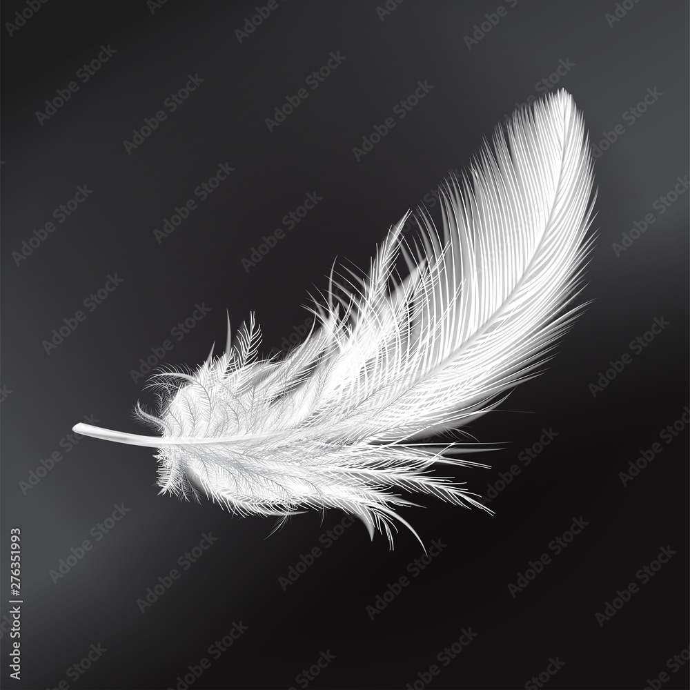 Obraz premium White fluffy feather. Vector realistic illustration.