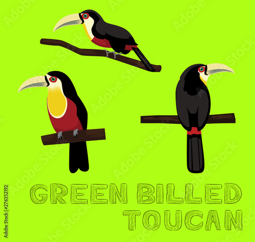 Green Billed Toucan Cartoon Vector Illustration