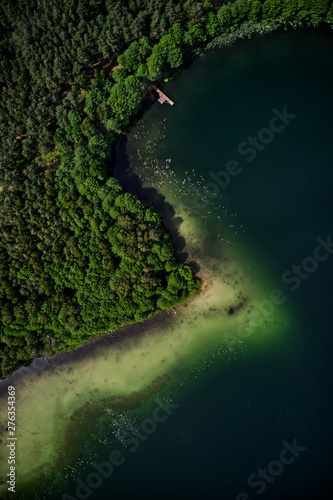 Beautiful shore of a green lake